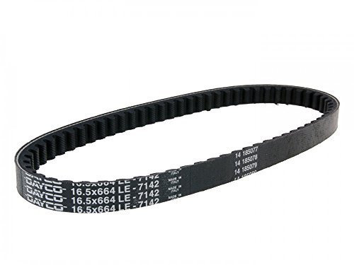 Dayco 7142 Keilriemen, L664 X B16.5, andere
