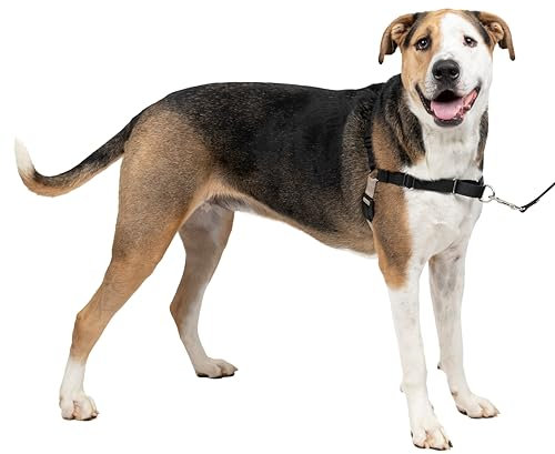 PetSafe Easy Walk Harness, No-Pull Walking Harness for Dogs, Adjustable Fit, Includes 1.8m Lead, Extra Large-Black