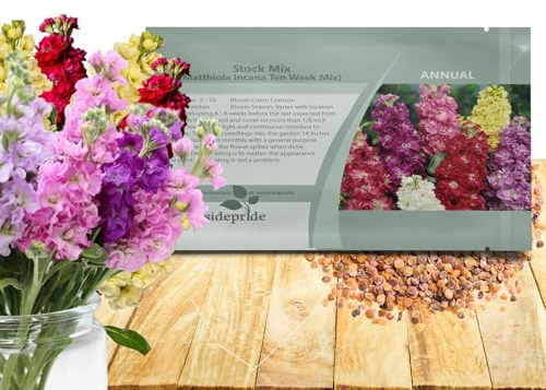 Outsidepride Ten Week Mix Mattiola Stock Seeds - 1000 Pcs Annual Flower Seeds for Planting with Fragrant Blooms that Attract Pollinators, Compact Growth, for Cut Flower Arrangements & Containers