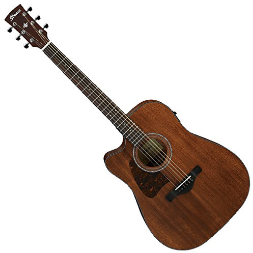 Ibanez AW54LCE - Open Pore Natural
