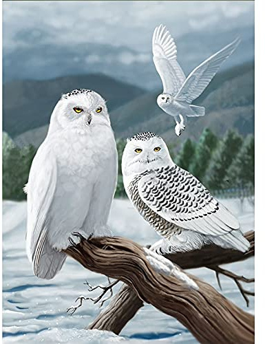 CULASIGN DIY 5D-Diamant-Malereiset, Eule Diamond Painting Full Strass Kreuzstich, Diamant Malerei Kits Malen nach Zahlen für Home Wanddekoration Geschenk (D,30x40cm)