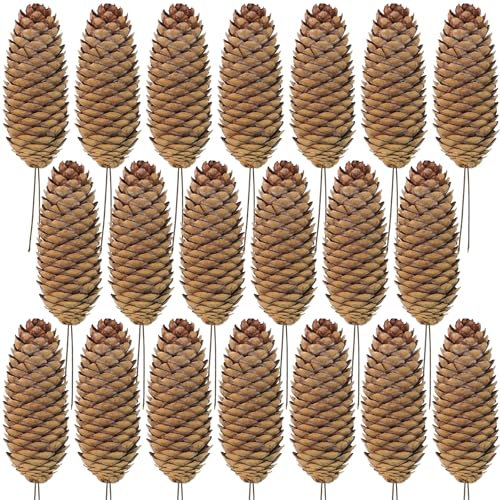 Winlyn 20 Pcs Christmas Natural Pine Cone Picks Rustic Spruce Pine Cones 5.9 Christmas Tree Decorations Hanging Pinecones for Christmas Tree Wreath Garland Holiday Party Table Centerpiece Crafts