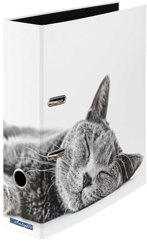 Samtpfote Aktenordner Ordner DIN A4, Entspannung, Katze weiß grau | Design Motiv, Karton, ca. 8 cm breit