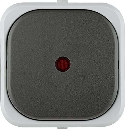 REV AquaTop, Kontrollschalter Feuchtraum IP44, einpolig, Aufputz, grau