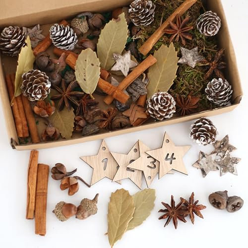 HERZONE Corona de Adviento, decoración navideña para manualidades, corona de Adviento con piñas, rodajas de naranja, canela, anís estrellado, abedul, estrella, musgo (B(con musgo verde-amarillo))