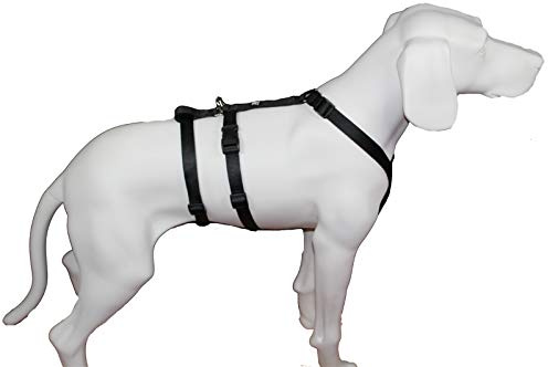 Feltmann NoExit Hundegeschirr® - ausbruchssicher, Panikgeschirr, Unifarben Schwarz, Bauchumfang 55-75 cm, 20 mm Bandbreite