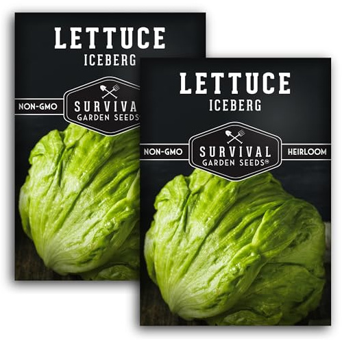 Iceberg Lettuce Seeds for Planting – Crisp Head Lettuce Variety with Crunchy Texture and Sweet Flavor, High Yield Heirloom Non-GMO Seed for Home Gardens – Survival Garden Seeds (2 Packs)