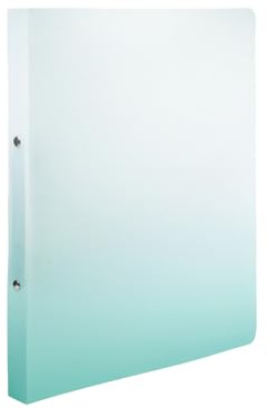 Idena 12112 - Ringbuch A4 aus Kunststoff, Ordner in Weiß und Petrol mit 25 mm Rückenbreite und 2-Ring-Mechanik