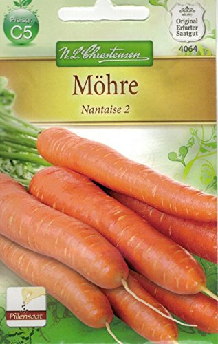 Chrestensen Möhre 'Nantaise 2'