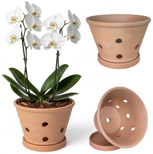 Bemonew Macetas para orquídeas con Agujeros y platillos macetas de Arcilla para trasplantar para Interior y Exterior Que promueven la circulación del Aire 6.1 x 4.5 Pulgadas