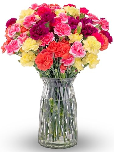 Benchmark Bouquets Mini Carnation Bouquet – Mothers Day Flowers for Delivery – Pink White Purple Mini Flowers – Fresh Floral Arrangement – Gifts for Mom, Birthdays, Get Well – Vase Included (20 Stems)