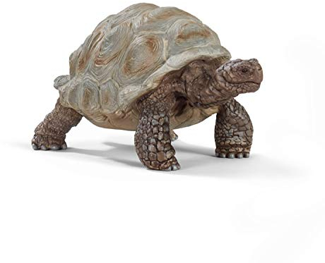Schleich 14824 Wild Life Figurine de Tortue Terrestre Géante - Figurine d'animal Sauvage - Cadeau Garçons et Filles Jouet 3 Ans et Plus
