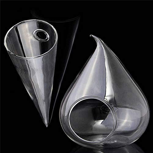 ChengBeautiful Vaso A Sfera di Vetro Le Piante idroponiche Decoration Vaso Cono Cipolla Forma Fai da Te Micro Paesaggio Vaso di Vetro Pianta Sospesa per Piante Grasse (Color : Clear, Size : One Size)