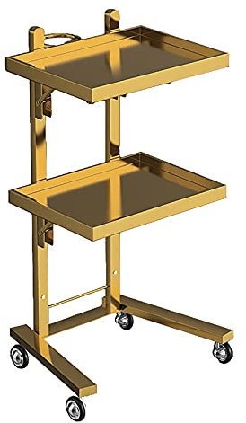 Generisch Rollwagen, Kosmetikwagen, 2-stöckig, zusammenklappbar, rollbarer Friseurwerkzeugwagen für Friseursalon und Maniküregeschäft, Edelstahl (Farbe: Gold)
