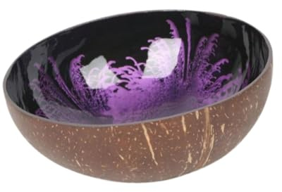 Gralara Cuenco de Coco para Llaves y Aperitivos, Diámetro 12 Cm, Violeta, Individual
