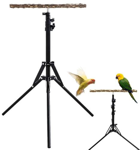 Le Perroquet de Grands Oiseaux | 15.74-61.81 Pouce Perche d'oiseau réglable de Hauteur pour Les perroquets | Perche de Formation des Oiseaux Stand pour Une Utilisation en Plein air intérieure
