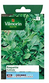 Vilmorin - Sachet graines Roquette cultivée