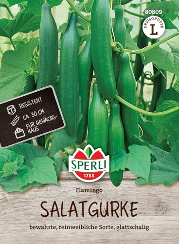 Sperli Salatgurkensamen Flamingo F1 80809, Gemüsesaat | Bewährte, glattschalig, Inhalt für 4 Pflanzen, aromatisch