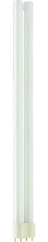 Philips 4 x Master PL-L 4P 36 W / 840 2G11 fluorescentes compactes (CFL) Blanc neutre Neu & OVP