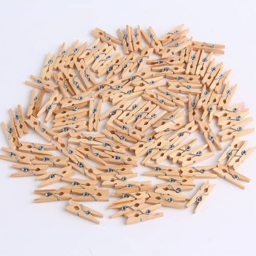 SULOLI 100 Stück Mini Holzklammer Holzwäscheklammern Fotoklammer Deko Klammern für Schule Büro Hausaufgabe Deko(25mm)