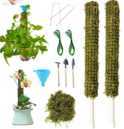 Abonda Monstera - Bastone per piante Monstera, impilabile per piante da interno, bastoni per piante da interno, bastoni di supporto per la crescita delle piante in vaso per Scindapsus, piante in vaso