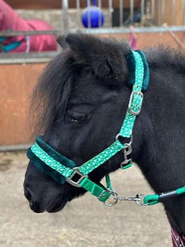 Halfter Führstrick Set mit Weihnachten Ho-Ho Print Grün Full-Mini Shetland (Shetland)