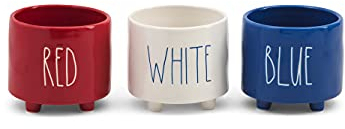 Rae Dunn by Magenta Lot de 3 mini pots de fleurs sur pied Rouge/blanc/bleu