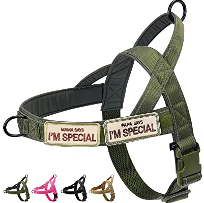 Eeyfarog No Pull Hundegeschirr für kleine mittelgroße Hunde, reflektierend ausbruchsicher verstellbar ohne Zug, Hundegeschirr (Grün, XL)