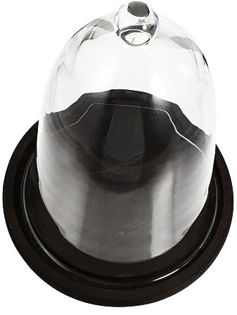 CAXUSD Micro Landscape Terrarium Accessories Glass Cover for Preserved Flowers Glass Eternal Flower Cloche