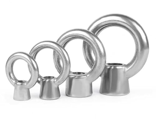 Augenmuttern, 10 Stück Heberingmutter aus 304 Edelstahl, Ringform, Gewindemuttern M6, M8, M10, M12, M16, M20, M24 (M20)