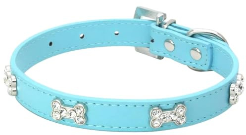 Suiecuor Hundehalsband Leder Welpenhalsband Hunde Halsbänder Geeignet für Hunde und Katzen von kleinen mittleren und großen Größen Blau S