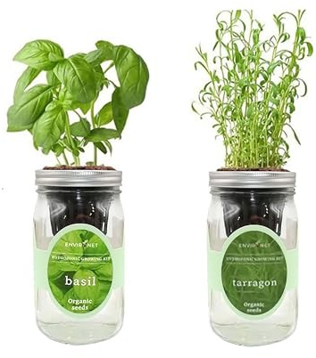 Environet 2-Pack Hydroponic Mason Jar Herb Garden Kit, Indoor Herb Garden Self-Watering Starter Kit (Basil,Tarragon)