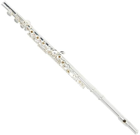 Flauto traverso flauto per principianti Flauto per strumenti a flauto a doppio uso placcato in argento a foro aperto con chiave E a 16 fori