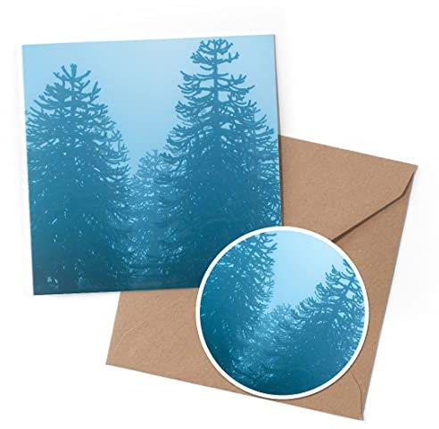 1 x Greeting Card & 10 cm Round Sticker Set - Monkey Puzzle Trees Winter Fog - Birthday Thank You Friend Lover Fan Mum Dad Kids #51477