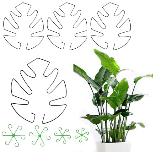 Alfven - 4 supporti per piante Monstera, con 4 supporti per piante | Supporto per stelo per piante, supporto per piante da interni, giardini interni ed esterni
