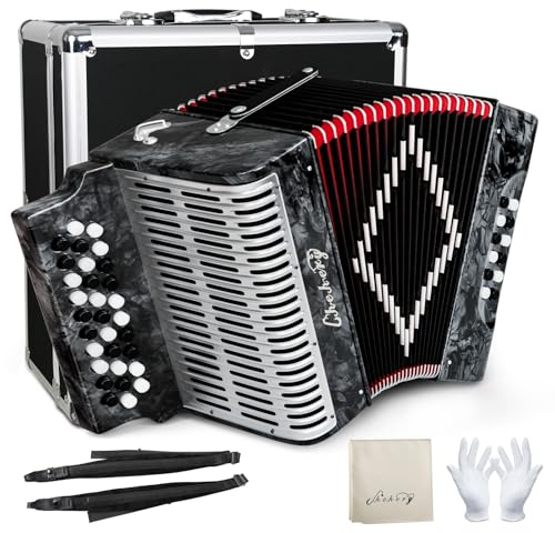 Accordion 31 Key 12 Bass Diatonic G/C/F Tuning Push-Pull Design, Complete Set with Case Strap Gloves Cleaning Cloth, for Beginners Professionals, Folk Music Live Performance Practice Ensemble (Sliver)