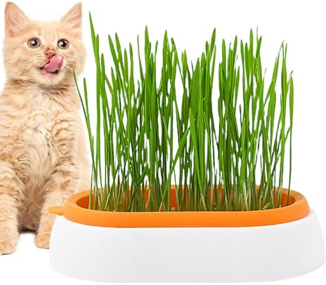 Katzengrasbehälter | Hydrokultur-Katzengras-Tablett, Katzengrasbox für drinnen oder draußen, Katzen, Hunde und andere Haustiere, Sprossen-Tablett, Haustierzubehör Dudok