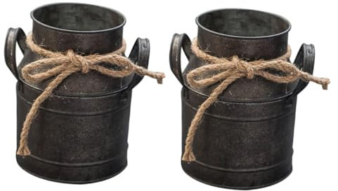 Alipis 2pcs Retro Iron Flower Bucket for Garden Decor Planter Iron Bucket Vintage Style for Home and Outdoor Use Shabby Chic Flower Pot Holder Material