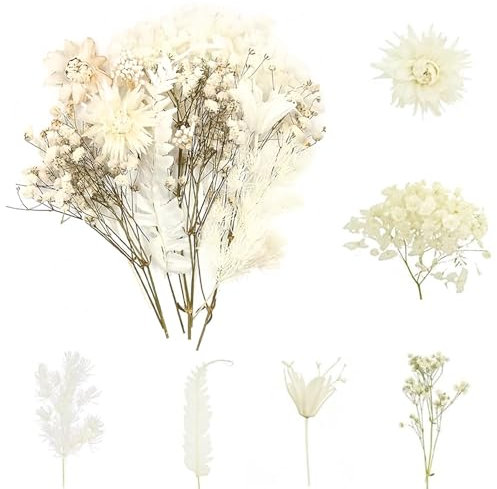 Dried Flowers, Real Natural Dried Flowers, Small Dried Flowers, Artificial Everlasting Flowers, White Dried Flowers for DIY Resin Pendant Candle Making and Nail Jewelry Crafts Floral Decorations