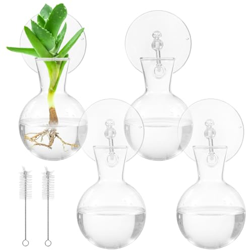 YOFAPA Lot de 4 vases de propagation en verre pour plantes, jardinières de fenêtre à suspendre avec 4 ventouses, 2 brosses, vase terrarium en verre, décoration d'intérieur pour la culture de l'eau