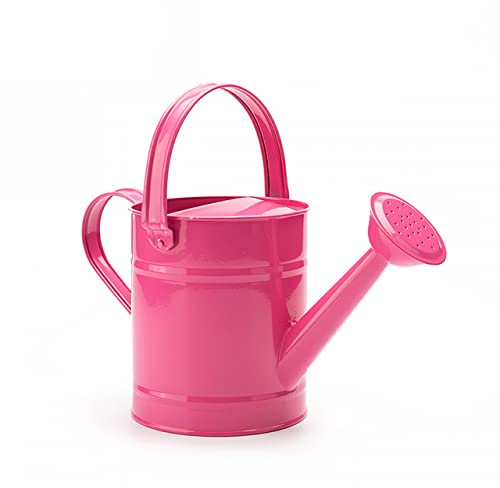 1,5 L Gießkanne Aus Eisen Für Zuhause Bonsai-Pflanze Duschwerkzeug Gartenarbeit Wassertopf Wasserkocher Gartenbewässerung Sprühflasche- Rose red