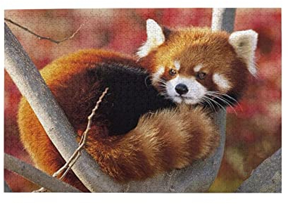 Wooden Jigsaw Puzzle 1000 Teile, Roter Panda Erwachsenenpuzzle Tragbarer Lustige Geschenke Dekompression Puzzle Für Erwachsene Für Kinder Freunde Kids