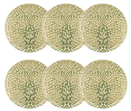 NOVASTYL - Lot 6 assiettes plates jade 26cm en grès beige et vert - 2614855
