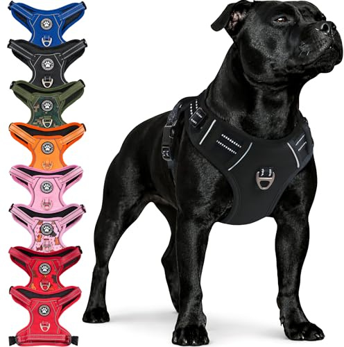 Reichstadt Pets Hundegeschirr Große Hunde 25RSP083 Black L | Verstellbares No-Pull Geschirr mit Griff & Reflektoren | Atmungsaktiv, Gepolstert & Strapazierfähig | Sicherheitsgeschirr