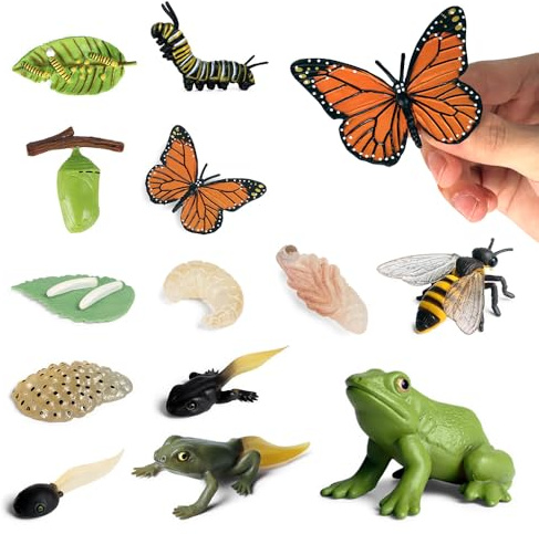 Jonuin Set 13 Figurine Ciclo di Vita Animali, Farfalle, Api & Rana, Giocattoli Educativi Montessori per Bambini 3+, Kit Didattico per Progetti Scientifici e Scolastici