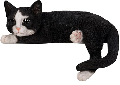 Vivid Arts - Legende Katze, Schwarz & Weiß – XRL-DC69-D