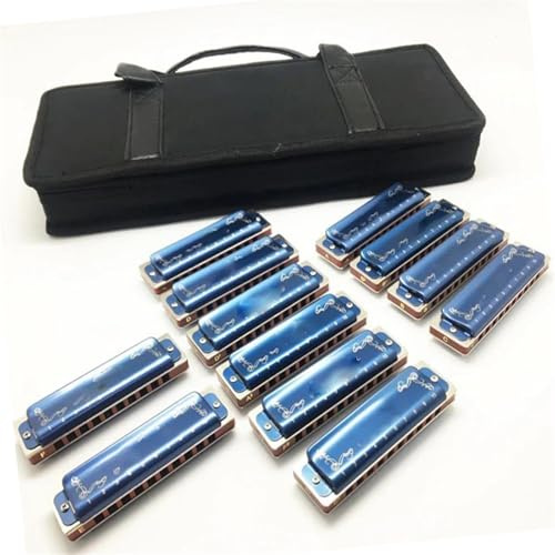 mundharmonika anfänger Mundharmonika 10 Löcher 12 Tasten C/D/E/F/G Paddy Blues Harp Diatonisch(Harmonica)