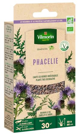 Phacélie - BIO - Petit Modèle