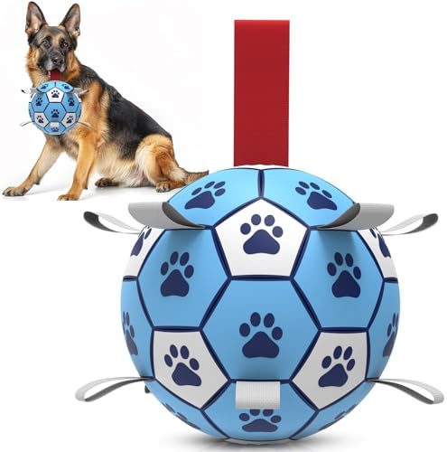 HETOO Hundeball Hundespielzeug Ball mit Seil Hundefußball(8 Zoll Blau Weiß) | Interaktive Hunde Ball für Touring, Langlebig Hoher Sprung Schwimmende Ball für Hunde Geburtstagsgeschenke Indoor Outdoor