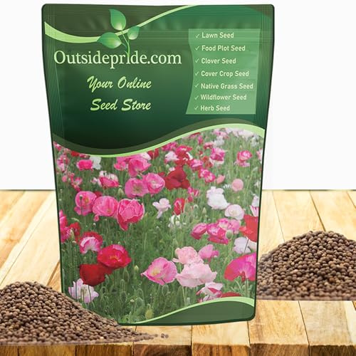 Outsidepride Shirley Poppy Seeds for Planting - 1/4 lb Annual, Drought-Tolerant & Easy to Grow Wildflower Seeds with Vibrant Mix Blooms for Landscaping, & Pollinator Garden